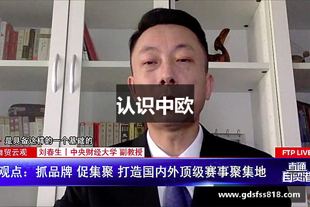 认识中欧
